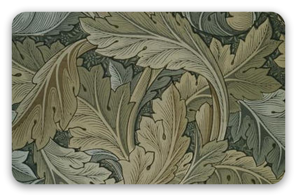Akanthus