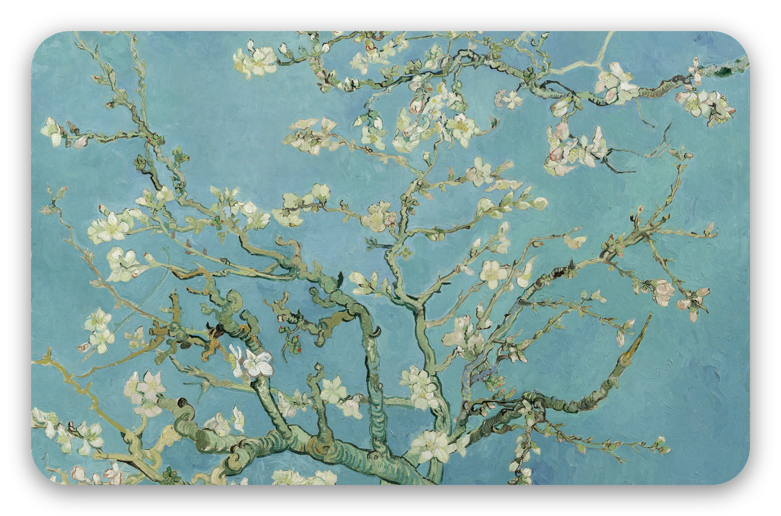 Almond Blossom