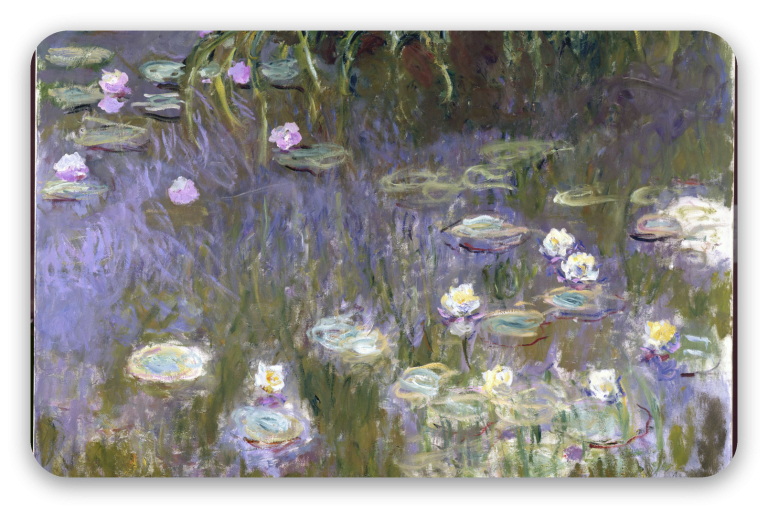 Water Lilies