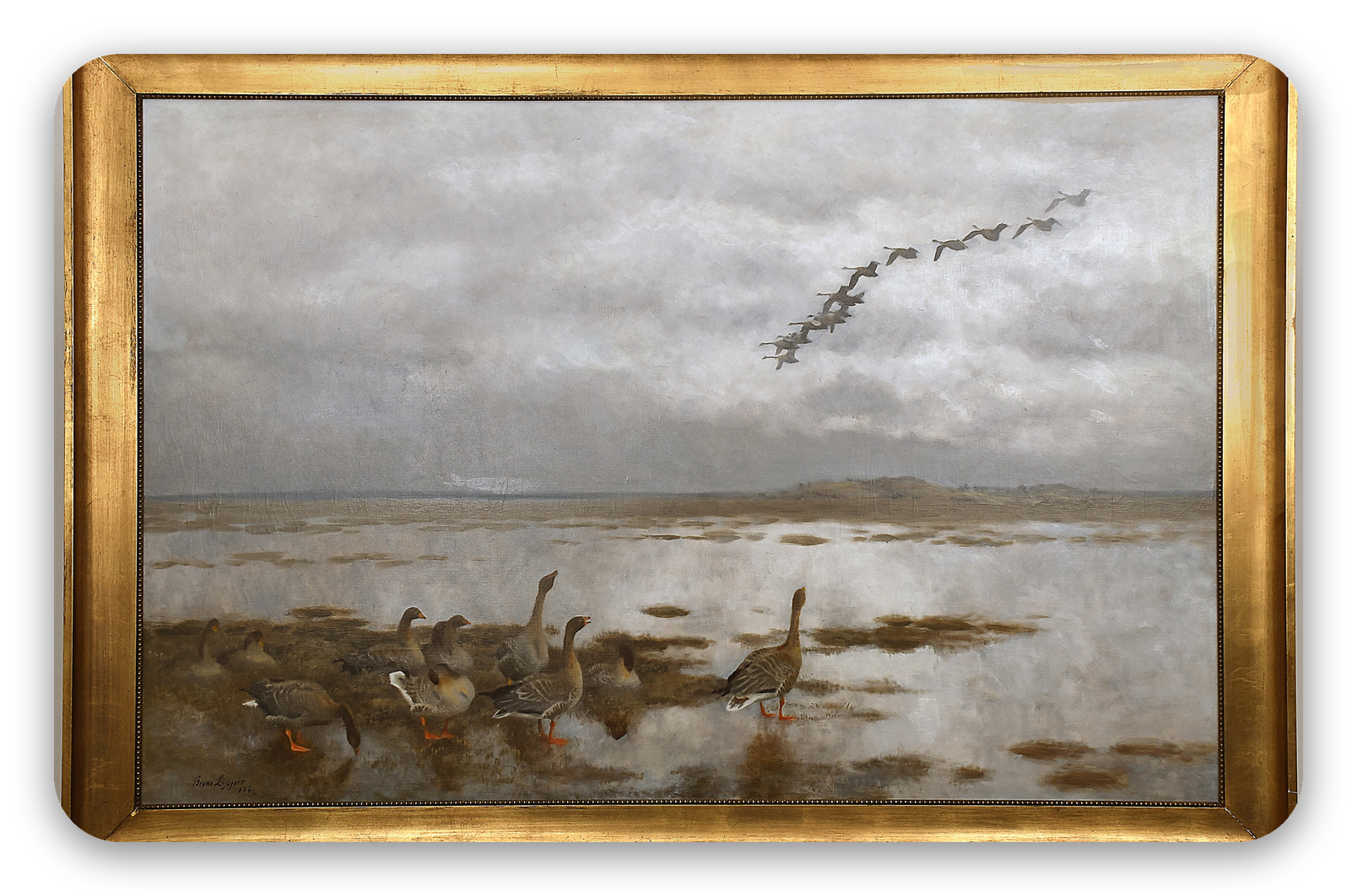 Wild Geese