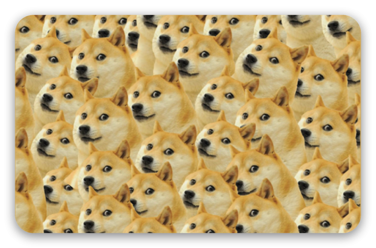 Doge