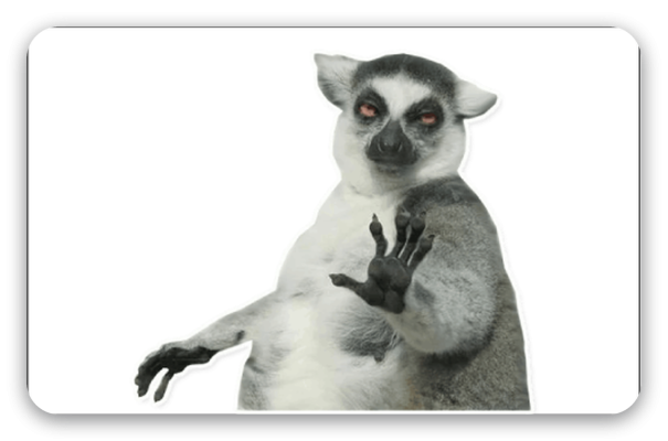 Lemur