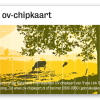 OV chip
