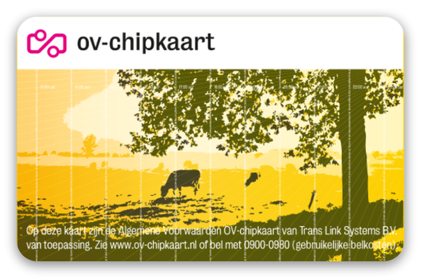 OV-Chip