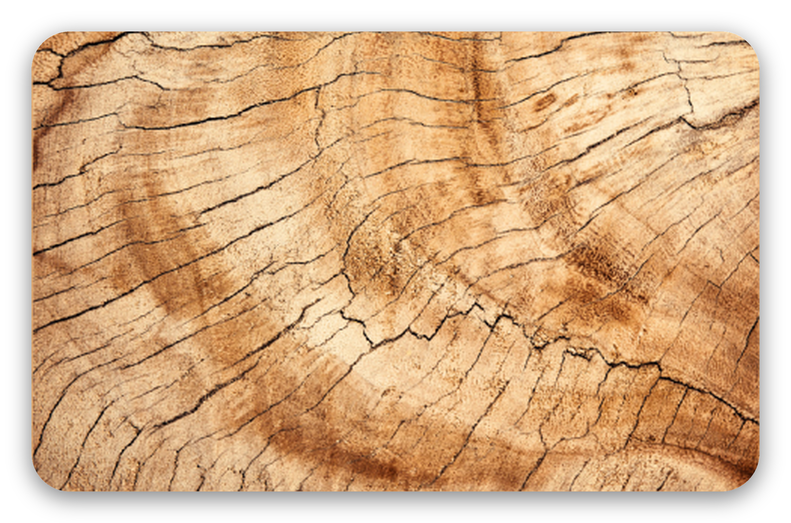 Wood