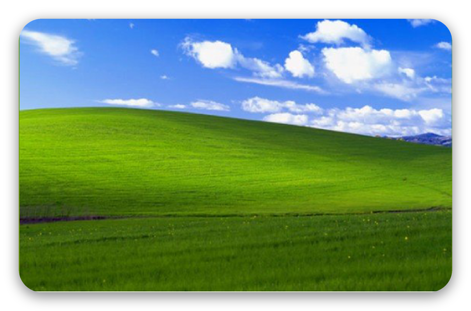 XP
