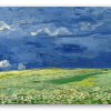 Kornfelder unter Gewitterwolken
