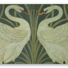 Schwäne
