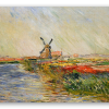 Tulpenfelder in Holland