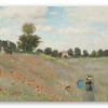 Mohnblumen