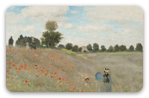 Mohnblumen