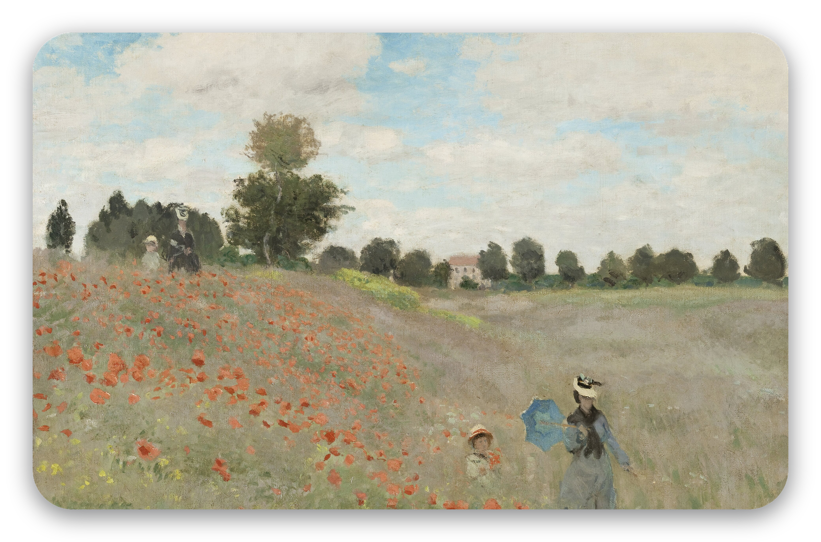 Mohnblumen