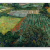 Feld mit Mohnblumen (Juni 1889)