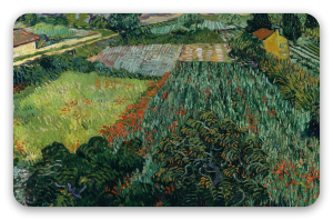 Feld mit Mohnblumen (Juni 1889)