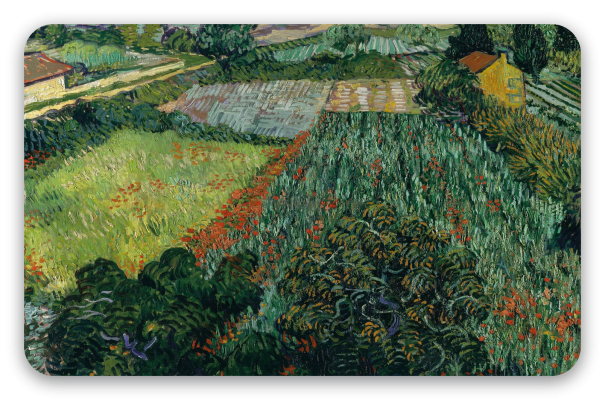 Feld mit Mohnblumen (Juni 1889)