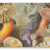 Seeanemonen (Haeckel)