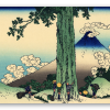 Der Mishima-Pass