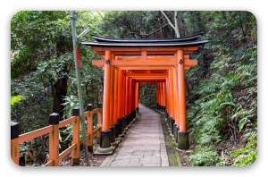 Die roten Torii von Kyoto