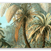 Farne (Haeckel)