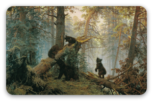 Morgen im Kiefernwald - Kartensticker