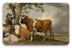 Der Stier